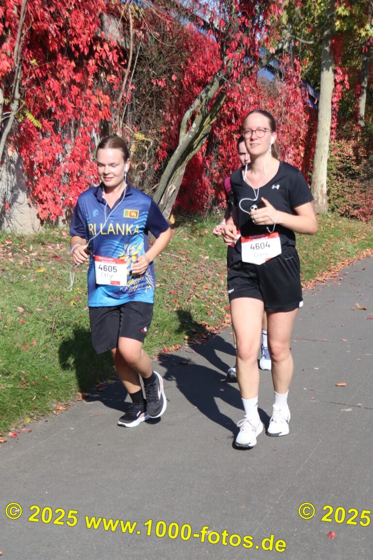 Fotos Hans-Martin Schweitzer (1.000 Fotos) 1577