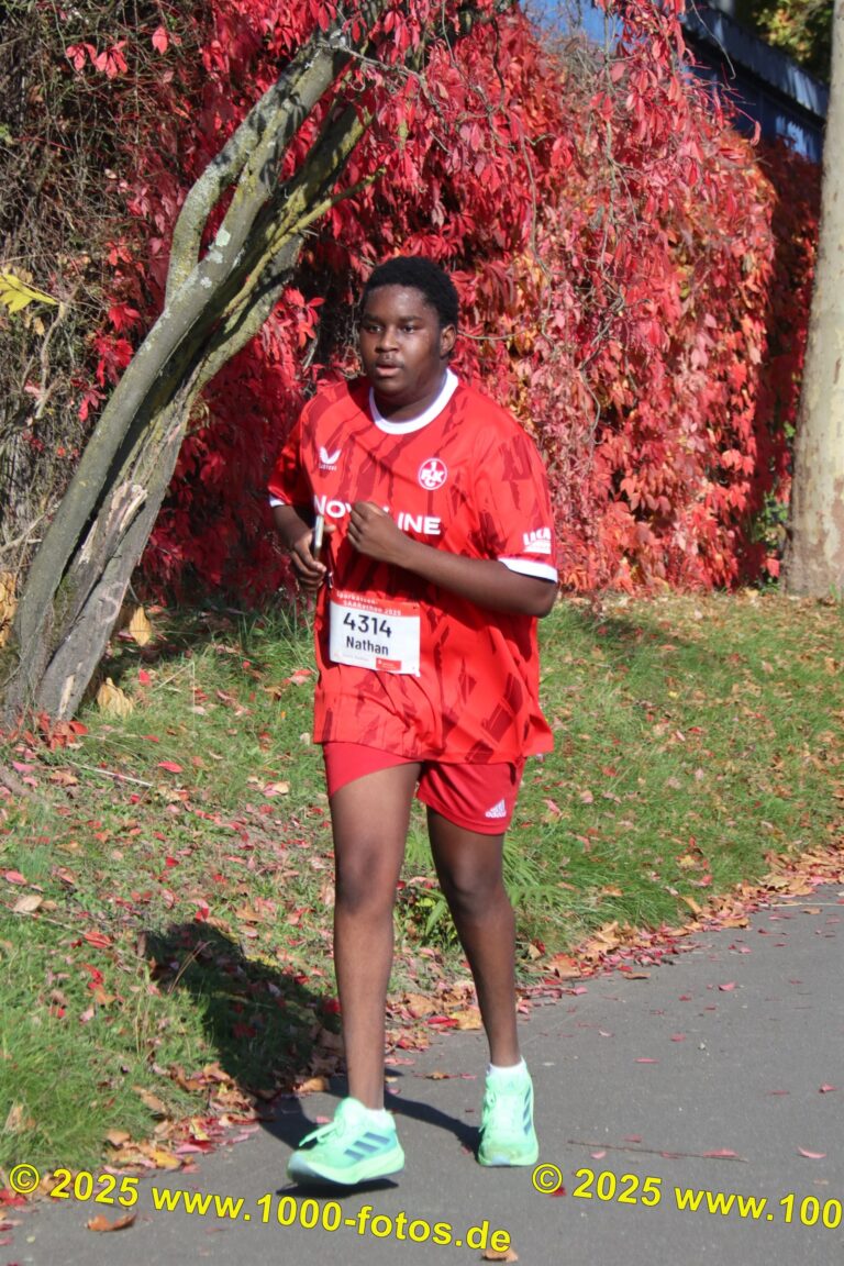 Fotos Hans-Martin Schweitzer (1.000 Fotos) 1573