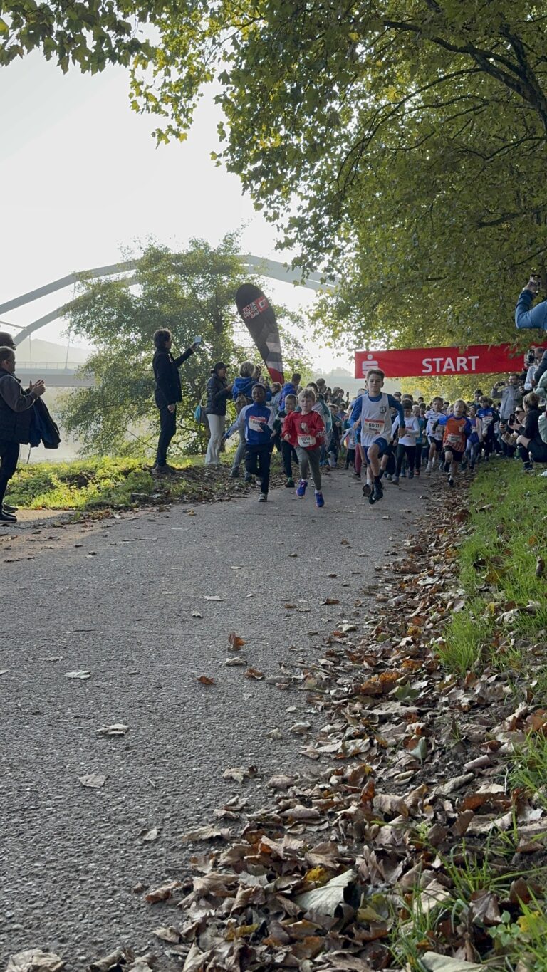 Läufe & Hightlights 856