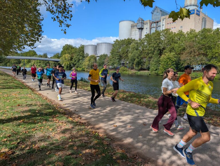 Shake-Out-Run 254