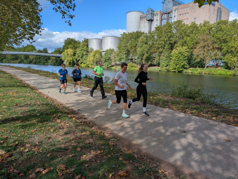 Shake-Out-Run 264