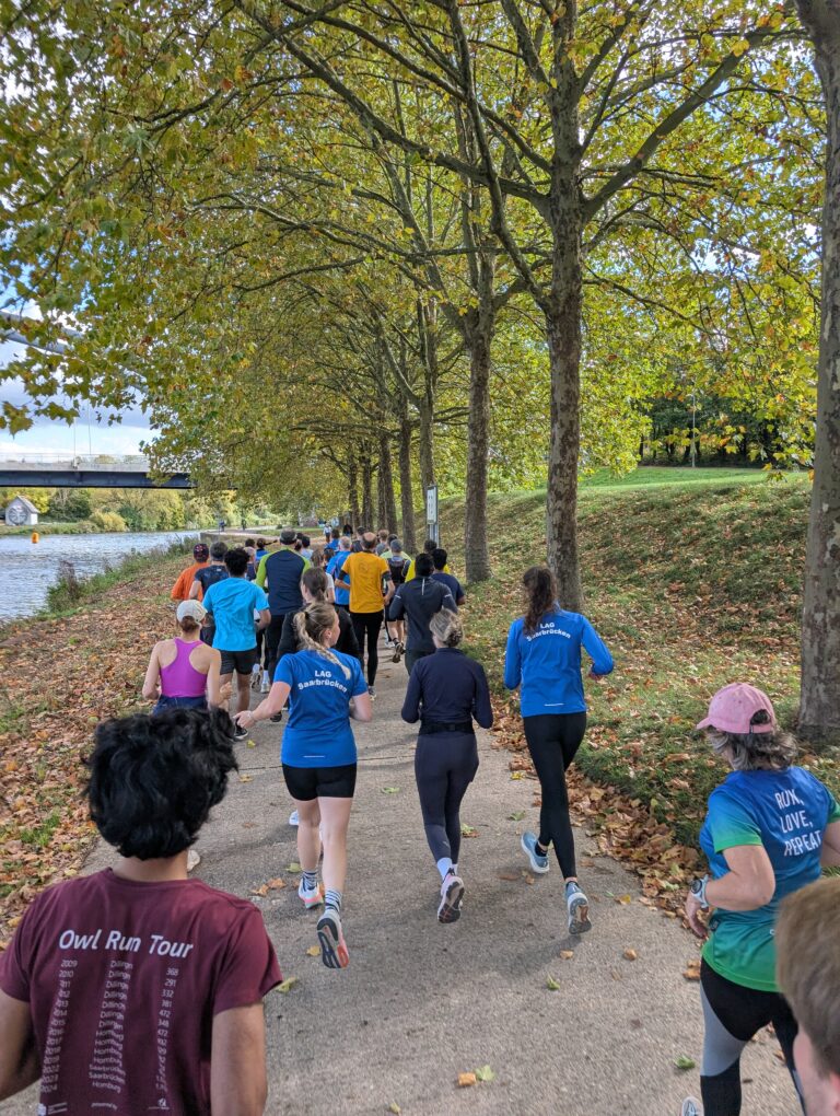 Shake-Out-Run 265