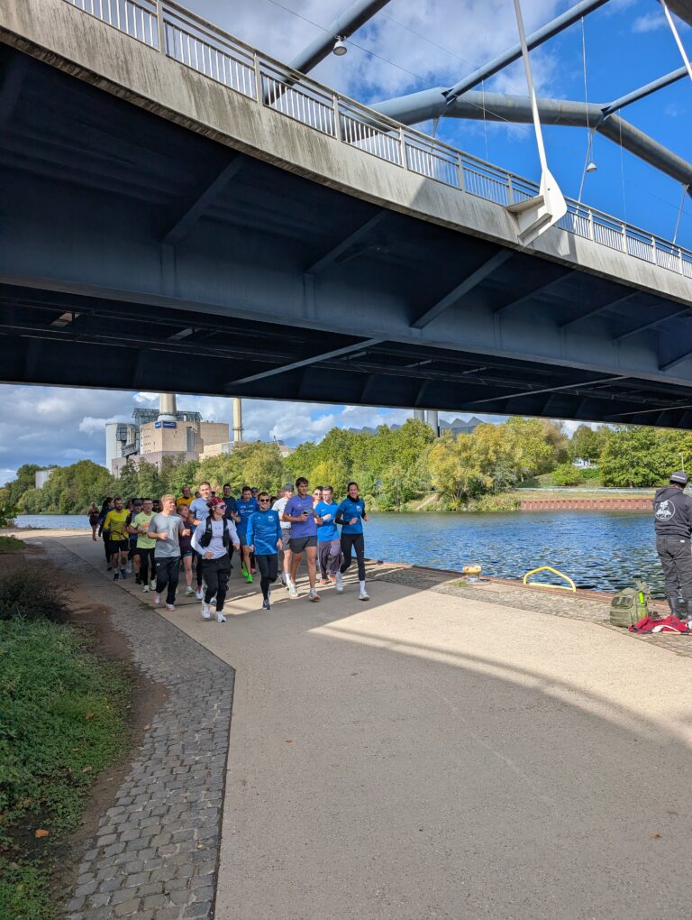 Shake-Out-Run 266