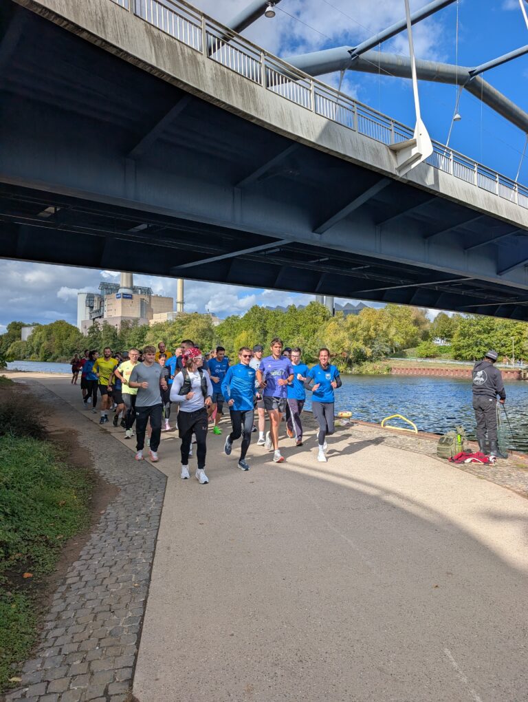 Shake-Out-Run 267
