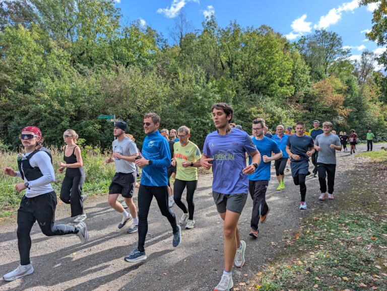 Shake-Out-Run 311