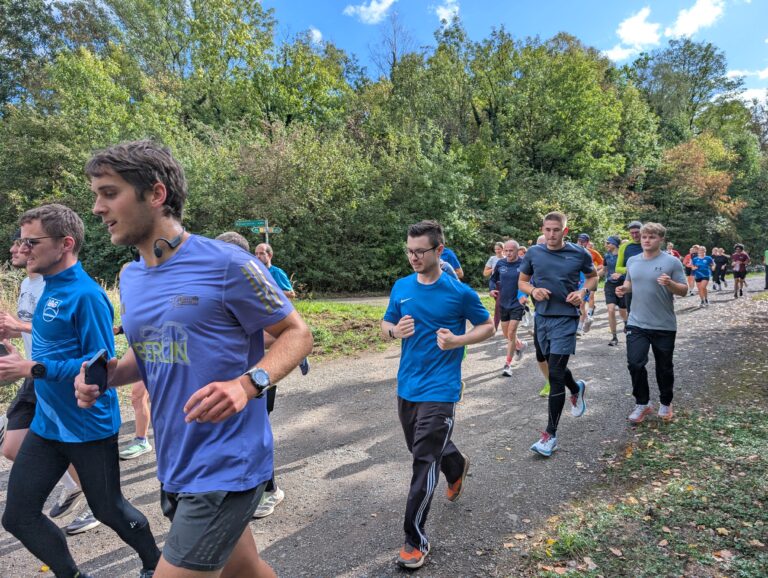 Shake-Out-Run 310
