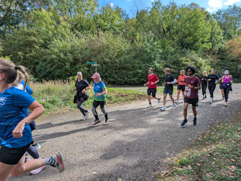 Shake-Out-Run 320