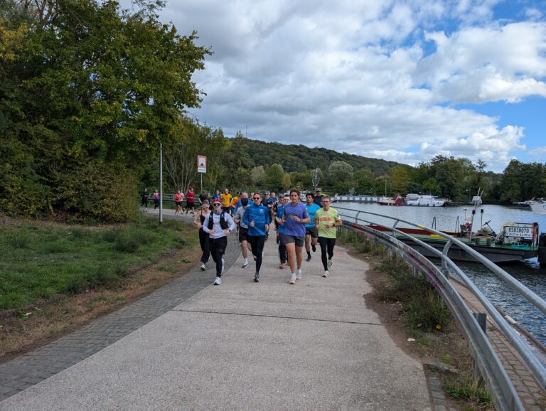 Shake-Out-Run 325